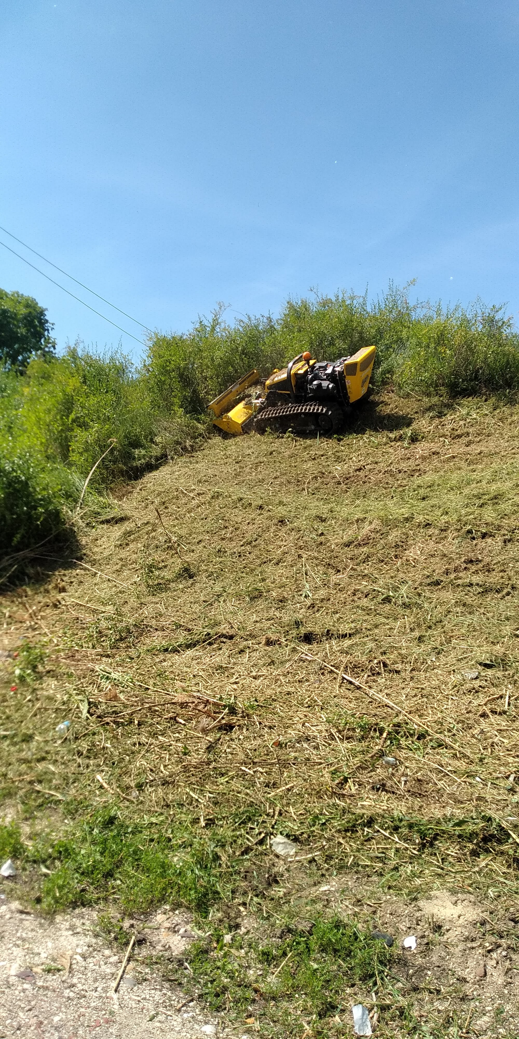 Yellow remote-controlled mower cutting grass on a steep hill with shrubs and clear blue sky.