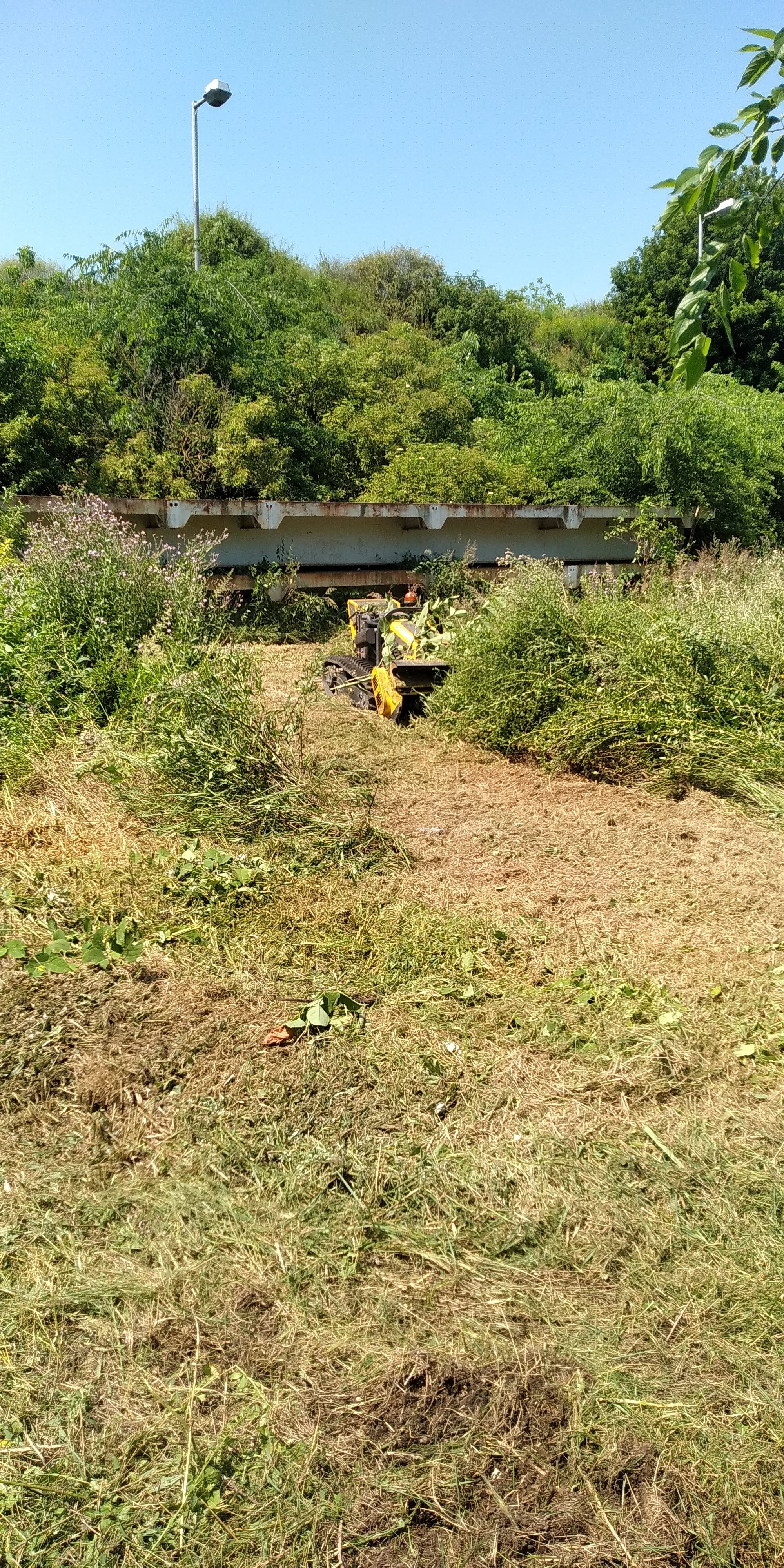 Small yellow clearing machine cutting tall grass under a rusted metal bridge in a green area.