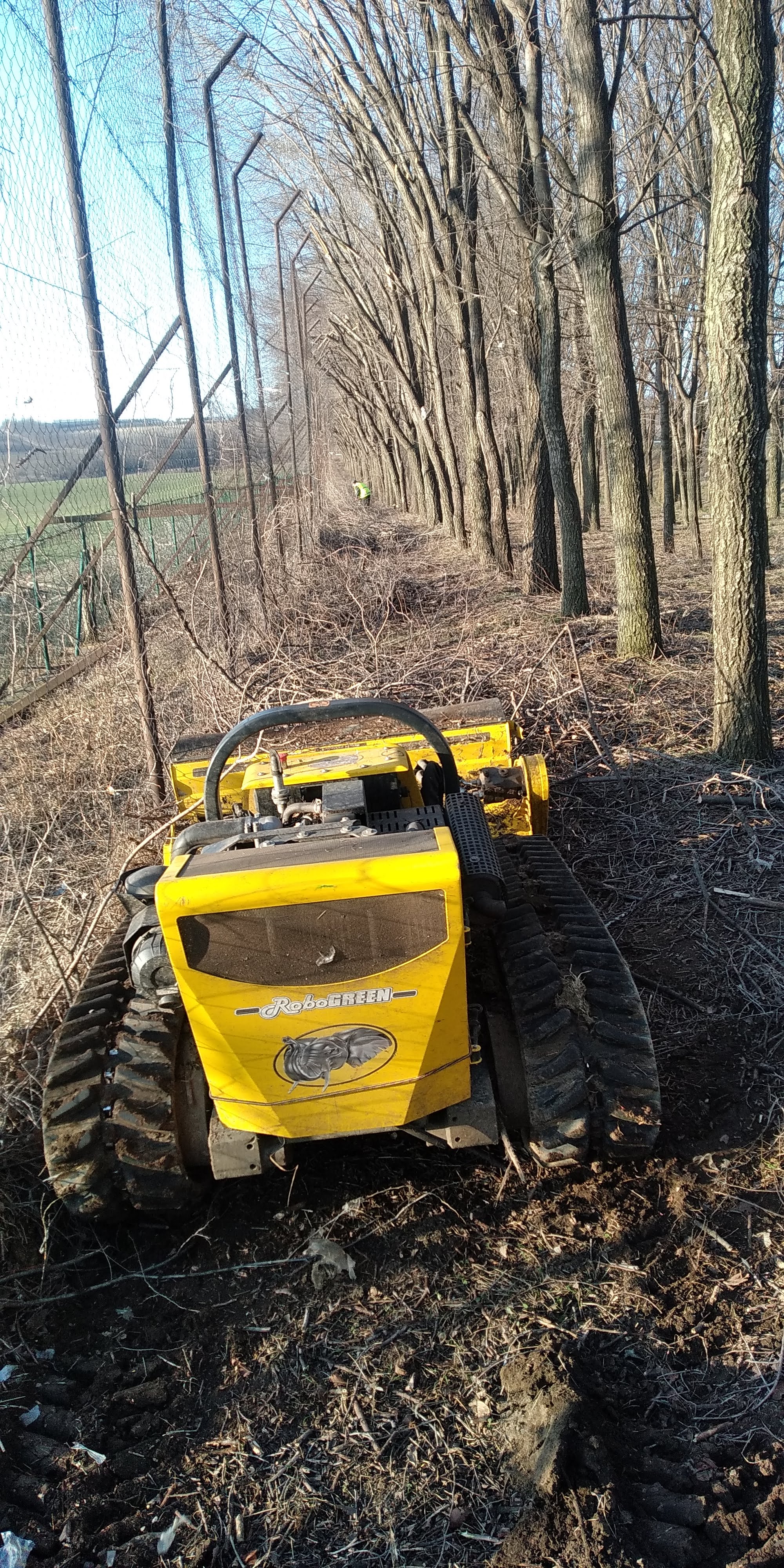 Yellow tracked RoboGREEN machine clearing branches near a row of leafless trees by a fence.